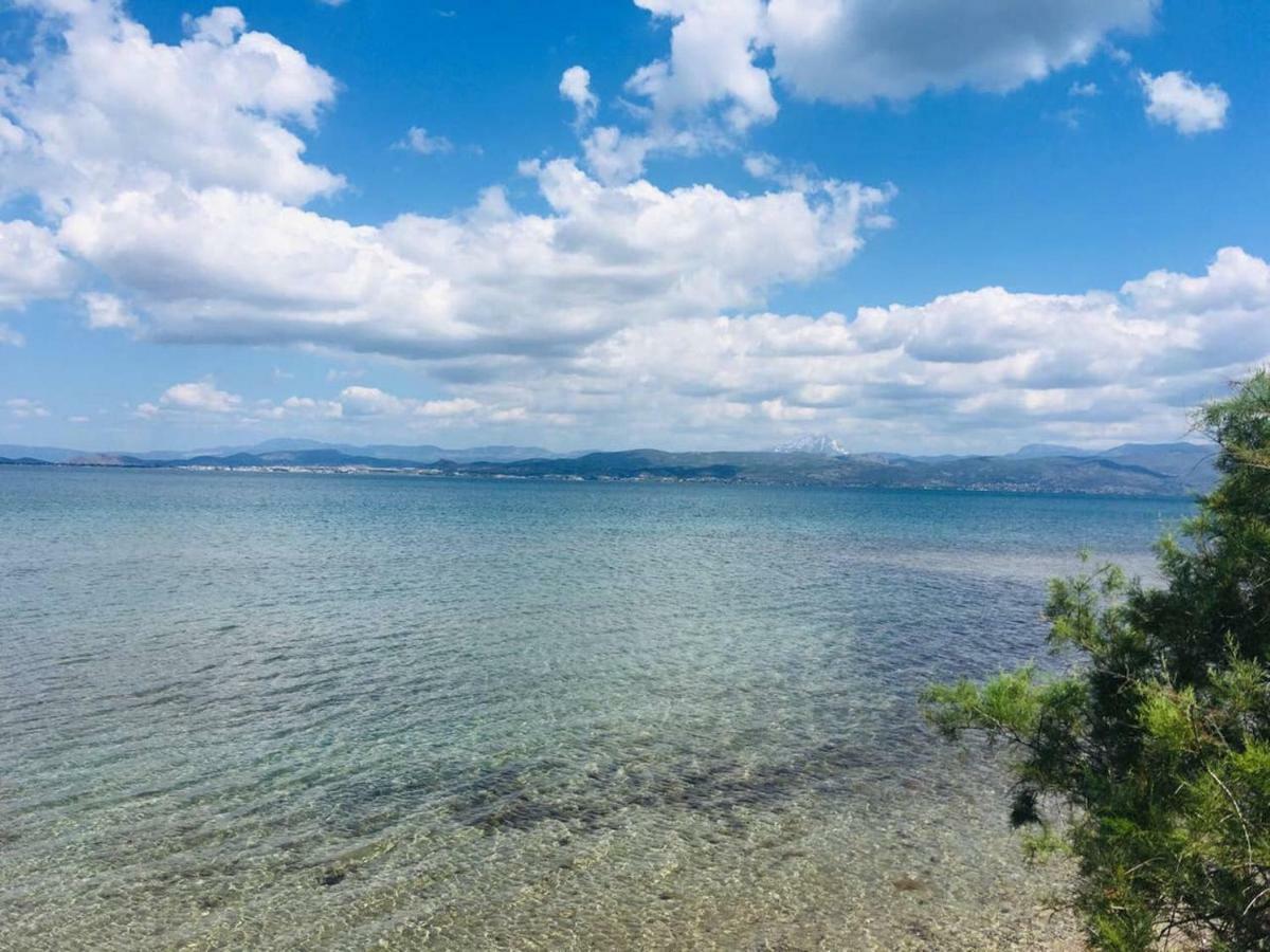 Angela Seaside Summer House Dhílesi エクステリア 写真